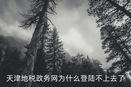 天津地稅如何登錄，天津地稅政務(wù)網(wǎng)為什么登陸不上去了