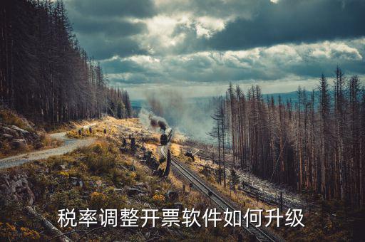 成品油企業(yè)開(kāi)票系統(tǒng)如何升級(jí)，開(kāi)票系統(tǒng)升級(jí)的步驟