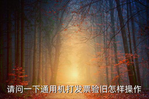 定額通用發(fā)票如何驗(yàn)舊，請問一下通用機(jī)打發(fā)票驗(yàn)舊怎樣操作