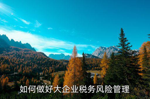 如何加強(qiáng)對(duì)重點(diǎn)企業(yè)的稅務(wù)管理，加強(qiáng)大企業(yè)的稅收管理有何良策