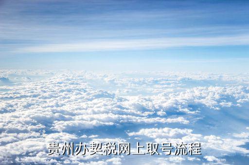 貴州稅務(wù)如何網(wǎng)上申報(bào)，貴州辦契稅網(wǎng)上取號流程