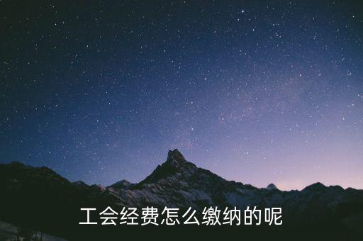天津市工會(huì)經(jīng)費(fèi)如何征收，請問工會(huì)經(jīng)費(fèi)怎么繳納