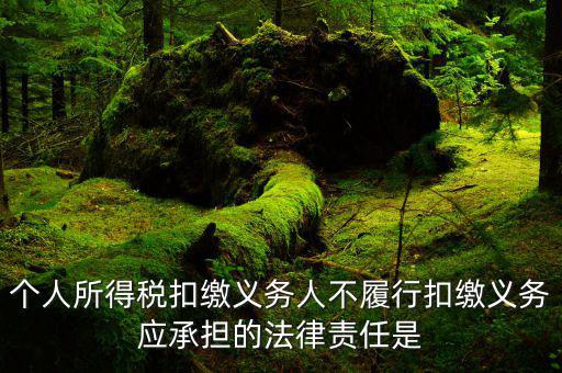 扣繳義務(wù)人如何追責(zé)，個人所得稅扣繳義務(wù)人不履行扣繳義務(wù)應(yīng)承擔(dān)的法律責(zé)任是