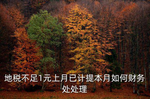 財務(wù)處如何落實數(shù)據(jù)地稅，地稅不足1元上月已計提本月如何財務(wù)處處理