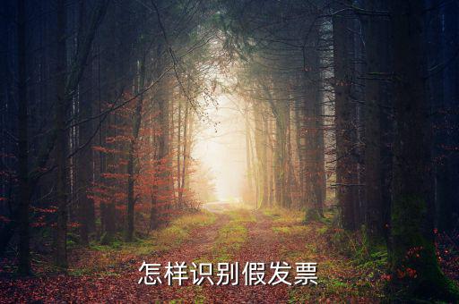 如何驗(yàn)證假發(fā)票，怎么識(shí)別假發(fā)票啊