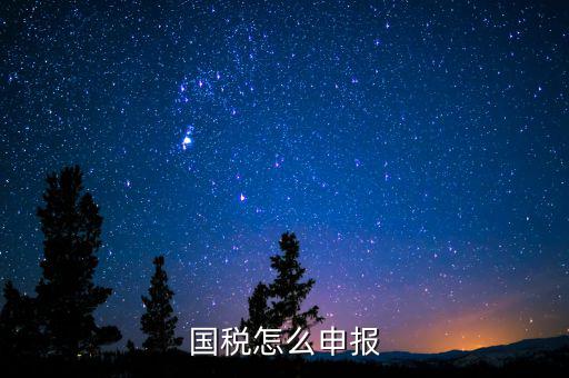 北京國稅如何登陸申報(bào)，國稅如何網(wǎng)上零申報(bào) 具體步驟有五個(gè)