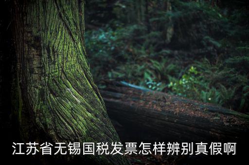 如何查詢無錫國稅發(fā)票真?zhèn)尾樵?，江蘇省無錫國稅發(fā)票怎樣辨別真假啊