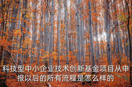 科技型優(yōu)惠如何備案，研發(fā)費(fèi)用加計(jì)扣除優(yōu)惠備案的要點(diǎn)有哪些