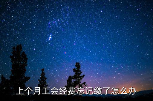 如何補(bǔ)繳上月工會(huì)經(jīng)費(fèi)地稅，工會(huì)經(jīng)費(fèi)上月已申報(bào)但未繳費(fèi)本月可以補(bǔ)交嗎在哪里補(bǔ)交是在報(bào)稅系統(tǒng)