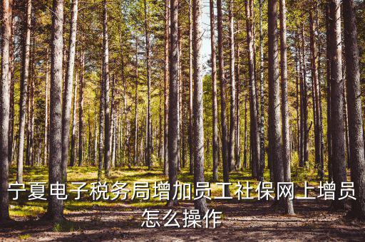 寧夏電子稅務(wù)系統(tǒng)如何開通，開通電子稅務(wù)局需要帶些什么東西去稅務(wù)局才能開通