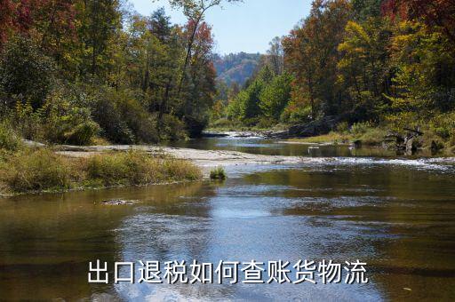 如何查詢(xún)出口貨物是否退稅，出口退稅如何查賬貨物流