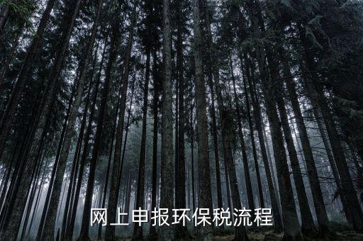 電子稅務(wù)局環(huán)保稅如何申報(bào)，2021年環(huán)保稅怎么申報(bào)