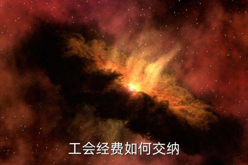 公司工會如何繳納，企業(yè)工會會費怎么交的