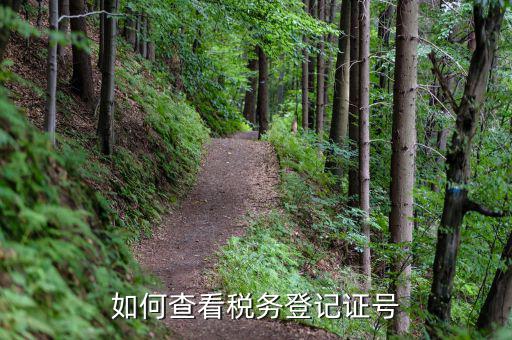 江蘇省稅務(wù)登記號(hào)如何查詢，怎么查單位的稅務(wù)登記代碼