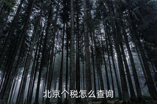 北京地稅局官網(wǎng)如何查個(gè)稅，怎么查詢最新北京個(gè)稅繳納情況