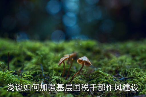 如何加強(qiáng)稅務(wù)局隊(duì)伍建設(shè)，如何激發(fā)國(guó)稅基層干部隊(duì)伍的活力