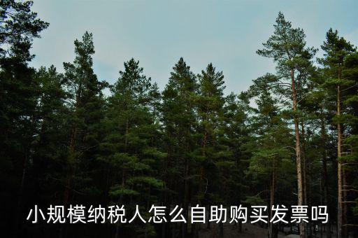 小規(guī)模如何領(lǐng)購發(fā)票，小規(guī)模納稅人領(lǐng)取發(fā)票程序