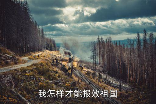 開的稅如何報效，報效祖國最好的辦法是什么