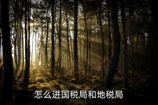 山西國稅系統(tǒng)如何進入地稅，怎么進國稅局和地稅局