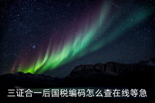 個人稅務(wù)編號如何查，請問在哪里可以查到納稅人編碼