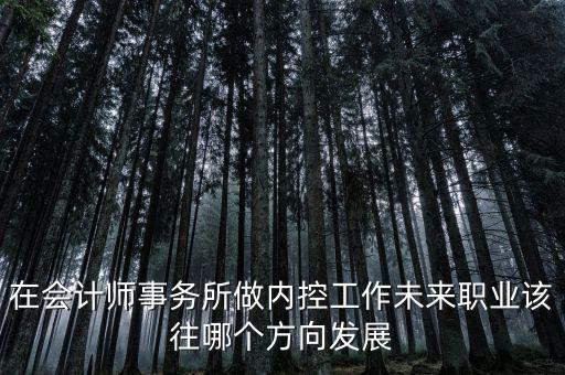 稅務(wù)內(nèi)控工作如何，如何搞好稅務(wù)所管理員內(nèi)控機(jī)制建設(shè)