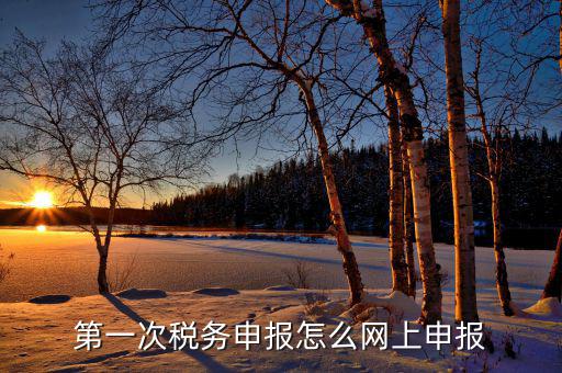 新網(wǎng)稅務(wù)如何申報(bào)，如何網(wǎng)上稅務(wù)申報(bào)