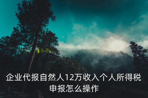 12萬個稅如何自行申報(bào)，年收入超過12萬怎么自行申報(bào)個稅
