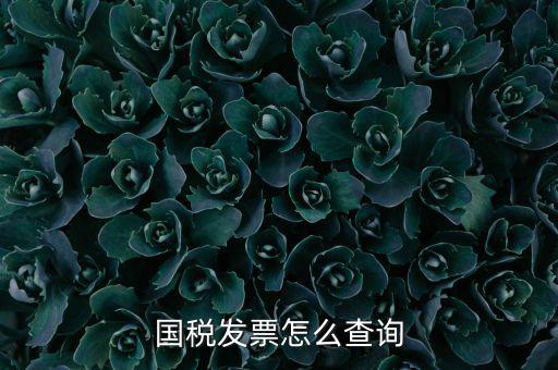 深圳市國(guó)稅局郵寄發(fā)票如何查詢(xún)，國(guó)稅發(fā)票怎么查詢(xún)