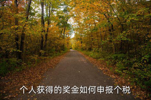 如何將獎金的稅款繳納至稅務(wù)局，個人獲得的獎金如何申報個稅