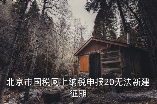 國稅系統(tǒng)如何建立征期，北京國稅網(wǎng)上申報系統(tǒng)是不是只能在每個月初才可以新建征期呢我