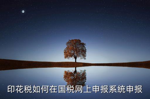 如何在網(wǎng)上申報(bào)安徽印花稅，如何在網(wǎng)上進(jìn)行印花稅的申報(bào)和繳納