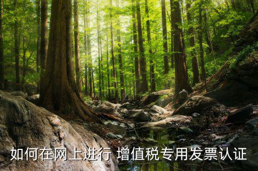 增值稅專用票如何在網(wǎng)上申請，購買增值稅專用發(fā)票要先在網(wǎng)上怎么操作