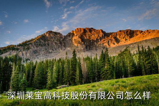 重慶萊寶電孑廠(chǎng)怎么樣,重慶電子廠(chǎng)有你需要就業(yè)嗎?