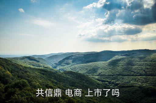 電商怎么上市,南極電商在納斯達(dá)克上市騰訊、慧聰網(wǎng)香港上市