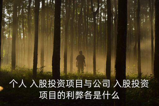 個人 入股投資項(xiàng)目與公司 入股投資項(xiàng)目的利弊各是什么