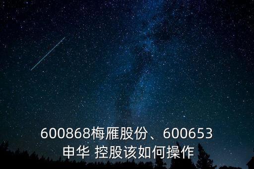 600868梅雁股份、600653 申華 控股該如何操作