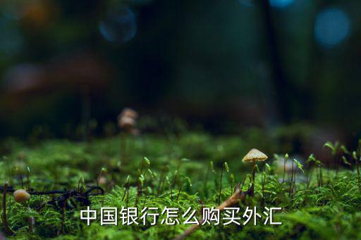 購匯怎么辦理,中國銀行辦理境內個人結匯購匯手續(xù)