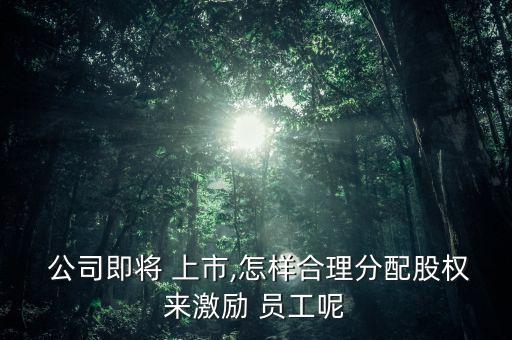  公司即將 上市,怎樣合理分配股權來激勵 員工呢