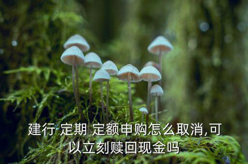  建行 定期 定額申購怎么取消,可以立刻贖回現金嗎
