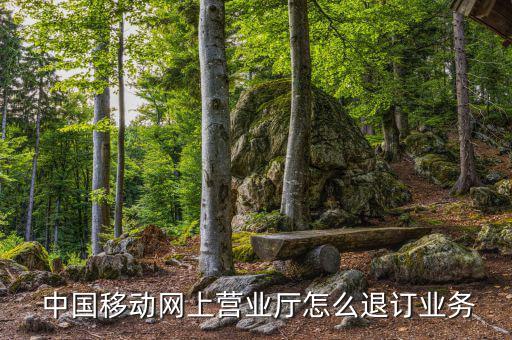 中國移動怎么撤單,移動用戶退訂業(yè)務步驟如下；
