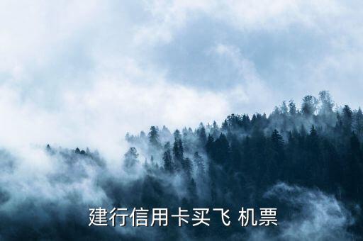 建行信用卡買(mǎi)飛 機(jī)票