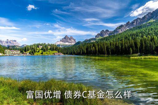 嘉實(shí)債券怎么樣,短債基金包括諾安債券、友邦短債、嘉實(shí)超短債