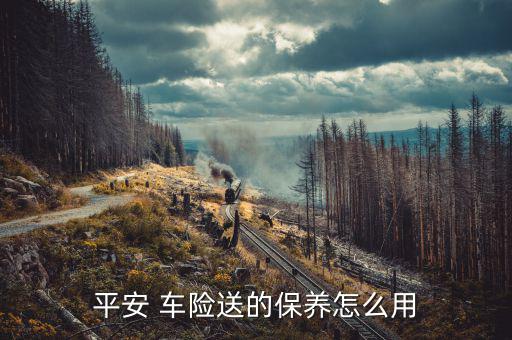 車(chē)險(xiǎn)怎么用,買(mǎi)車(chē)險(xiǎn)最好在保養(yǎng)有效期前使用平安車(chē)險(xiǎn)