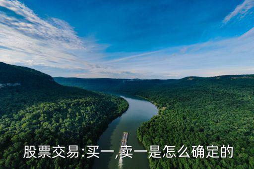 股票賣價(jià)怎么看,股市沒(méi)有交易顯示在買賣表中