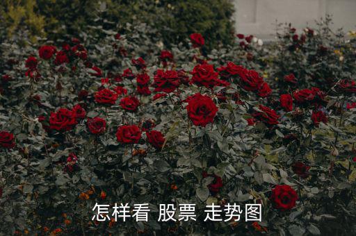 怎么看股票走勢圖圖解,k線圖一般稱為主圖，包含k線和均線
