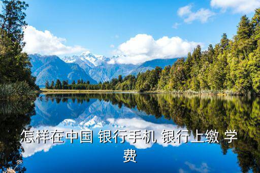 網(wǎng)上銀行怎么交學(xué)費(fèi),跨行轉(zhuǎn)賬匯款須注冊金融@家個人網(wǎng)上銀行