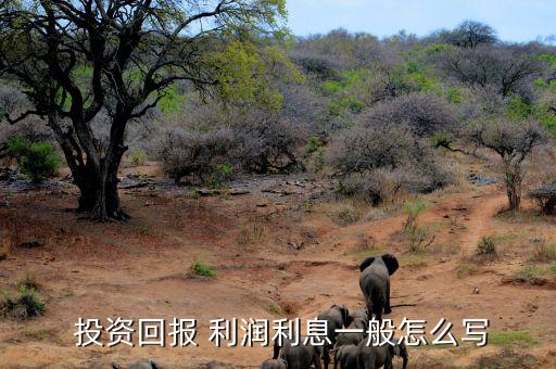  投資回報 利潤利息一般怎么寫