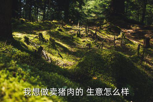 我想做賣(mài)豬肉的 生意怎么樣