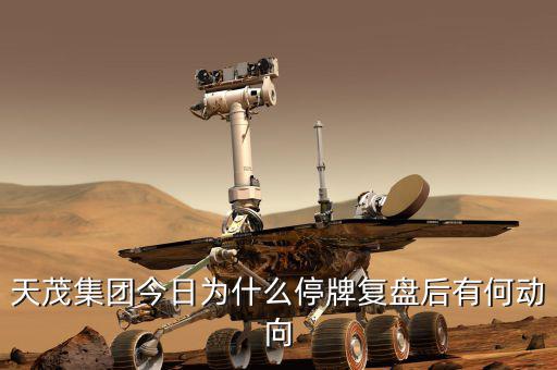 天茂集團(tuán)什么時(shí)候開盤，天茂集團(tuán)今日為什么停牌復(fù)盤后有何動(dòng)向