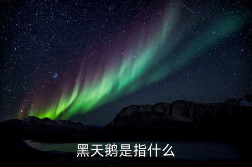股票黑天鵝是什么意思，黑天鵝事件是什么意思
